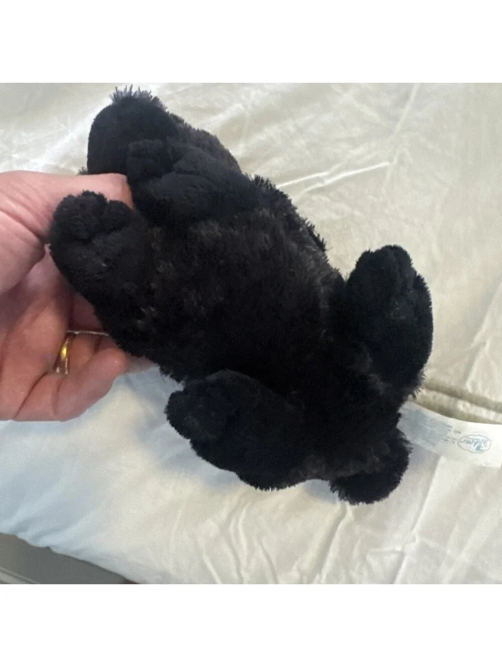 2004 Wishpet Harvey Rabbit Plush